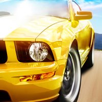 Petrol Engine Oil